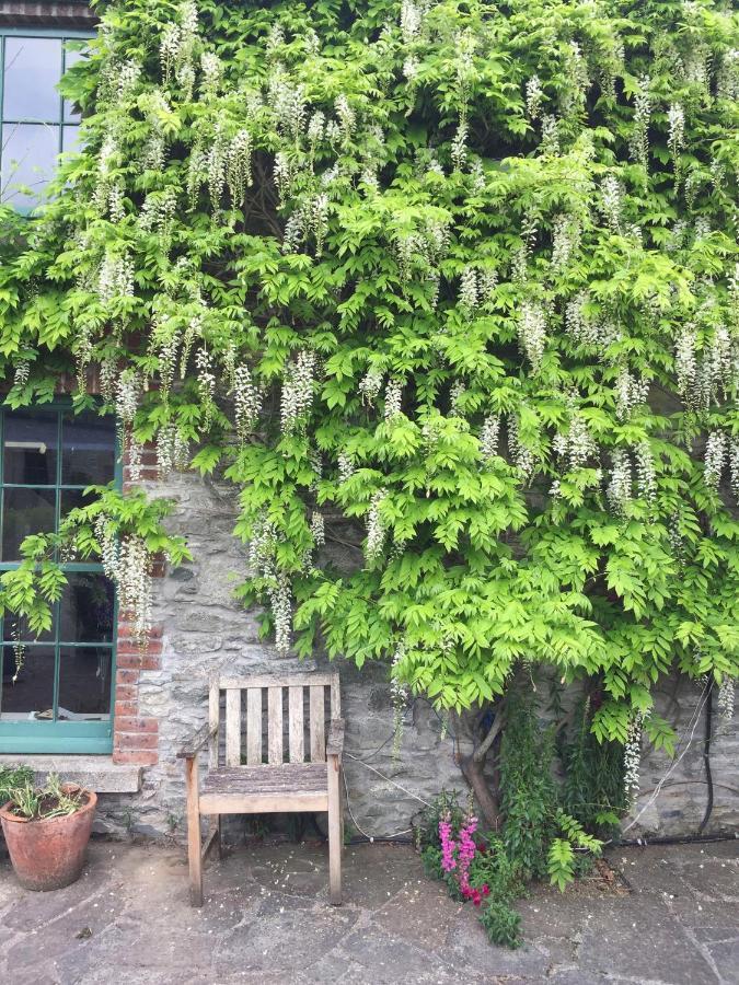 Vila The Stable Yard House At Burtown House & Gardens Athy Exteriér fotografie