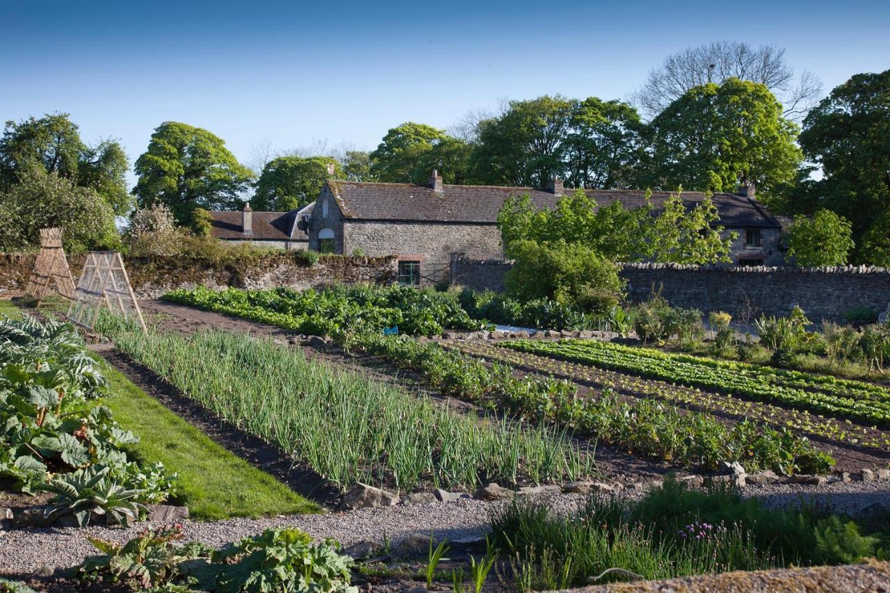 Vila The Stable Yard House At Burtown House & Gardens Athy Exteriér fotografie